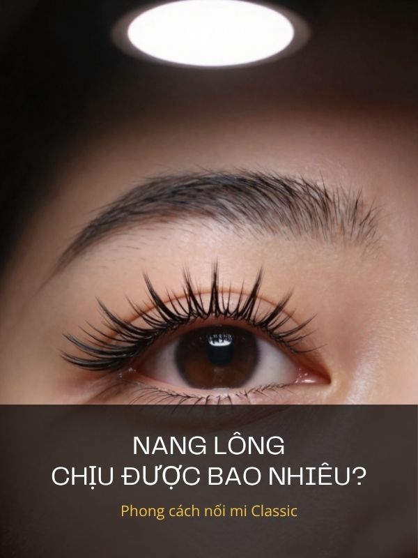 Sức chịu đựng của nang lông và định hình phong cách nối mi Classic