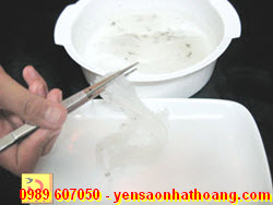 Tách yến thành sợi và rửa sạch lông Tách yến thành sợi và rửa sạch lông, tạp chất