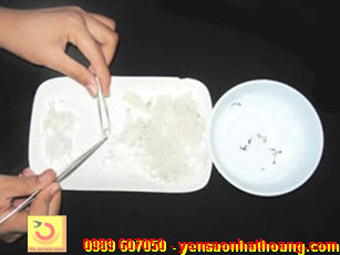 Nhặt lông tơ và tạp chất còn sót Nhặt lông tơ và tạp chất còn sót