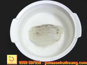 Ngâm tổ yến thô Ngâm tổ yến thô