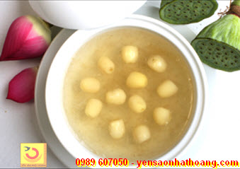 Chè tổ yến chưng đường phèn với hạt sen Chè tổ yến chưng đường phèn với hạt sen
