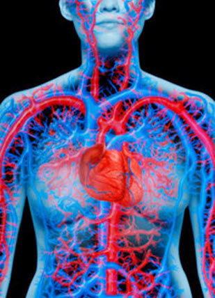 L-Arginine là dưỡng chất quan trong cho sức khỏe tình dục L-Arginine là dưỡng chất quan trong cho sức khỏe tình dục