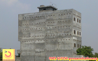 Nhà nuôi yến tại Bình Dương Nhà nuôi yến tại Bình Dương