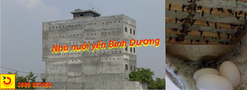 Nhà yén Bình Dương - Yến sào Nhật Hoàng Nhà yén Bình Dương - Yến sào Nhật Hoàng