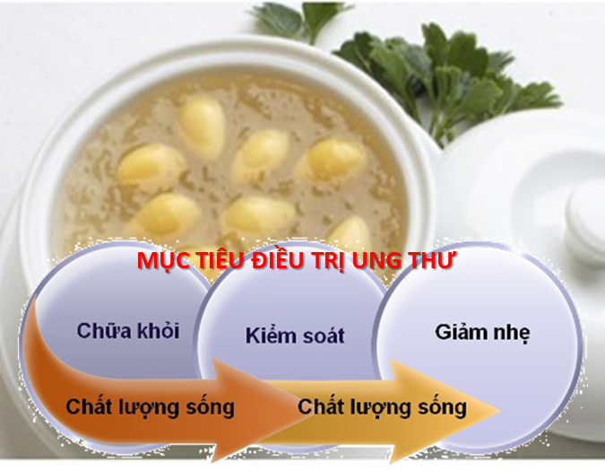 Yến sào có tác dụng kép trong cả hai vấn đề điều trị ung thư và nâng cao chất lượng sống cho bệnh nhân ung thư. Yến sào có tác dụng kép trong cả hai vấn đề điều trị ung thư và nâng cao chất lượng sống cho bệnh nhân ung thư.