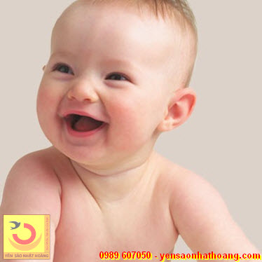 Trẻ em khỏe hơn nhờ công dụng của yến sào Trẻ em khỏe hơn nhờ công dụng của yến sào