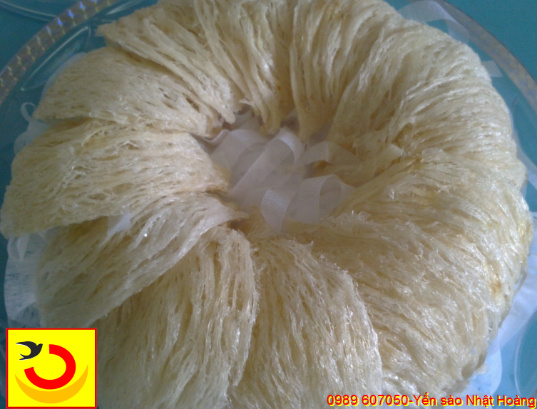 Yến tinh chế của Yến sào Nhật Hoàng Yến tinh chế của Yến sào Nhật Hoàng