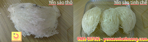 Yến sào - Bổ phẩm cao cấp cho phụ nữ làm đẹp Yến sào - Bổ phẩm cao cấp cho phụ nữ làm đẹp