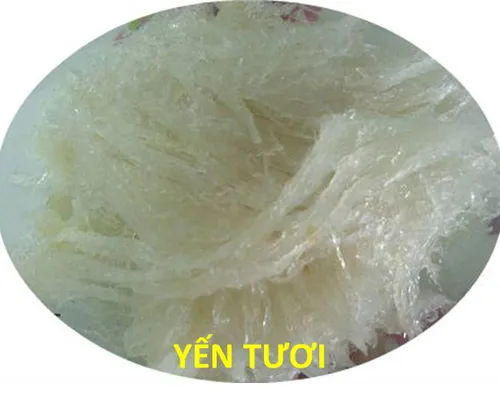 Yến tươi nguyên chất - 100g