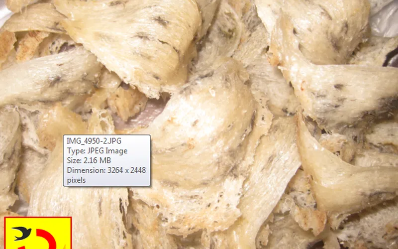 Cách làm sạch tổ yến thô tốt nhất