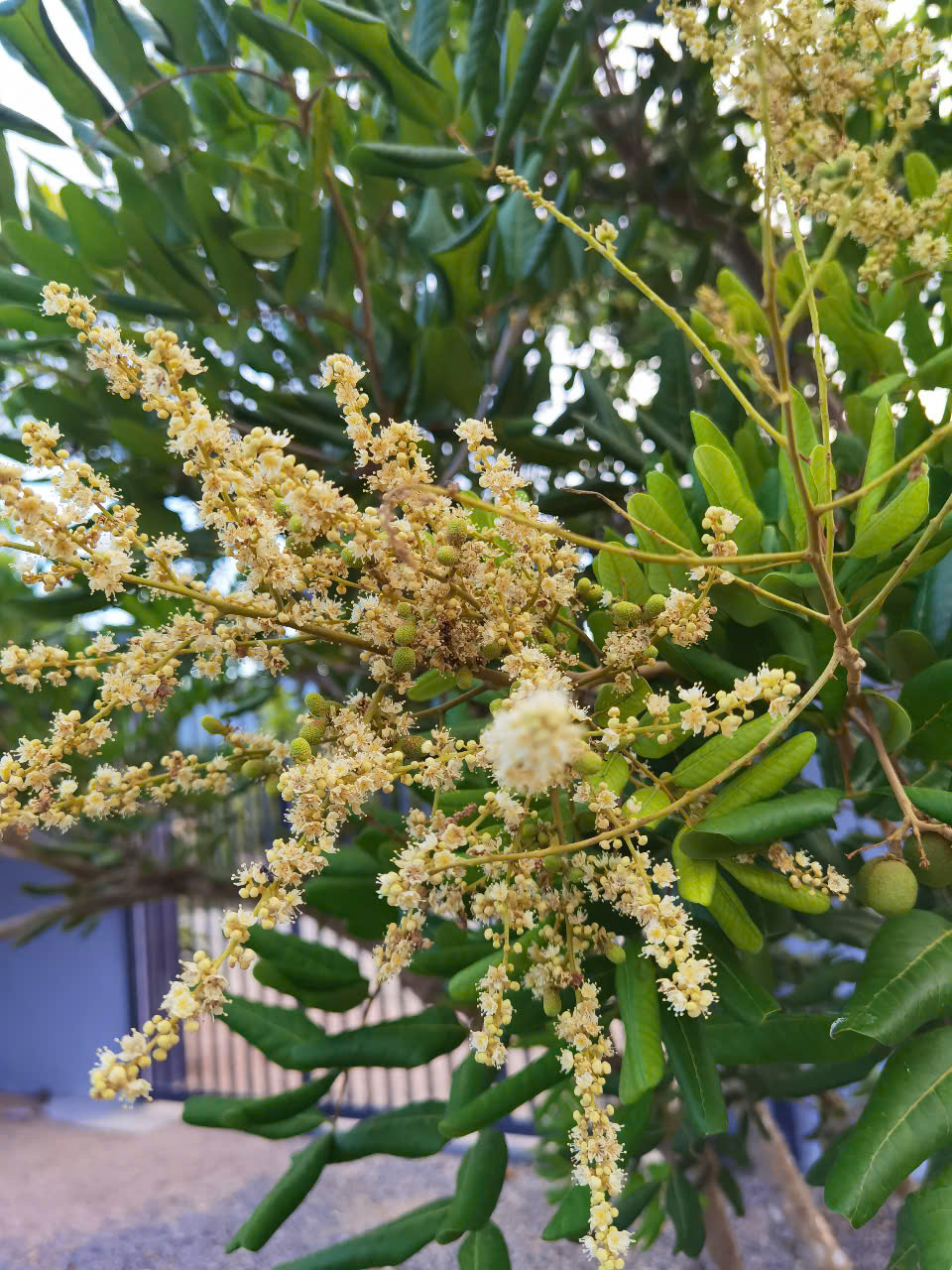 Anh Minh – Doanh nhân, TP. Hồ Chí Minh