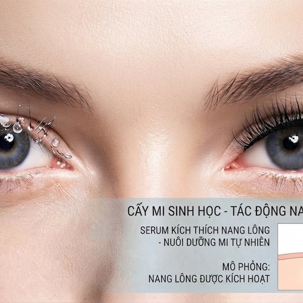 CẤY MI SINH HỌC