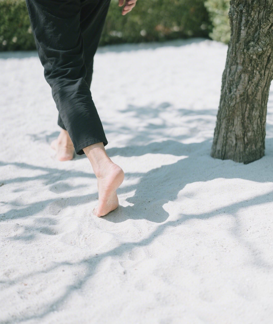 cát trắng trang trí quán cà phê - Vật Liệu Toàn Cầu cát trắng trang trí quán cà phê - Vật Liệu Toàn Cầu