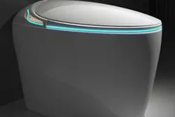 Bàn Cầu Thông Minh Lizard Eggs KAFLER