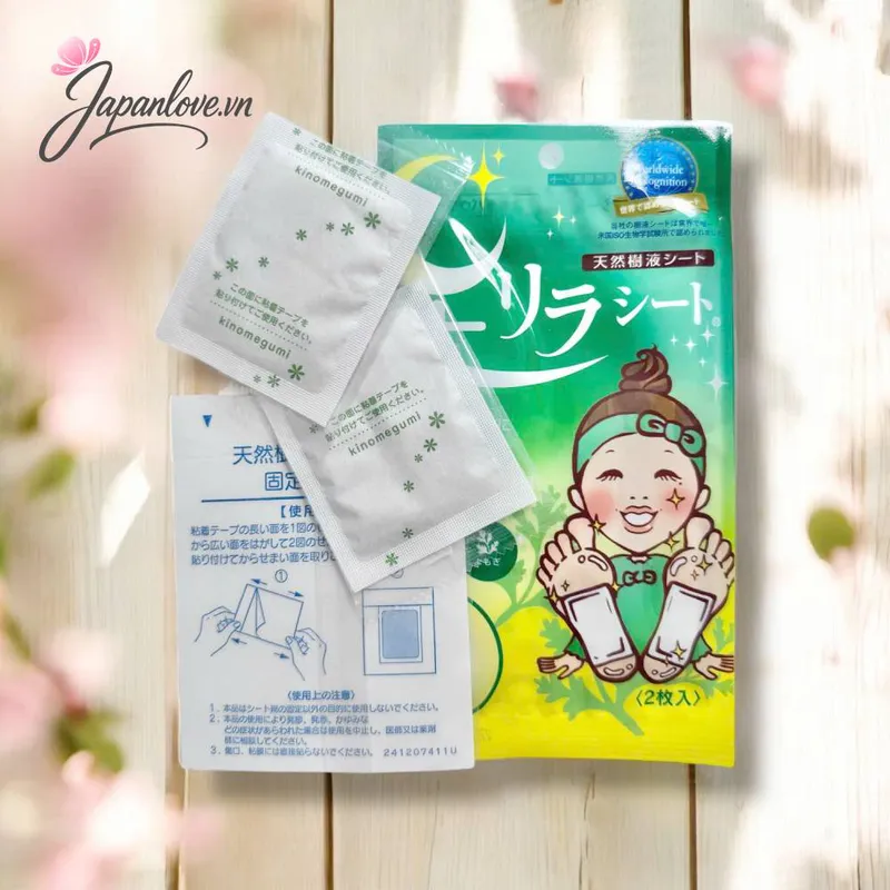 Miếng Dán Thải Độc Chân Ban Đêm Ashirira – Hương Ngải Cứu (2 miếng/gói)