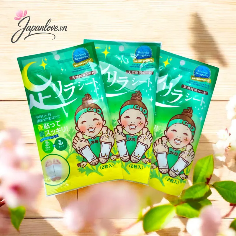 Miếng Dán Thải Độc Chân Ban Đêm Ashirira – Hương Ngải Cứu (2 miếng/gói)
