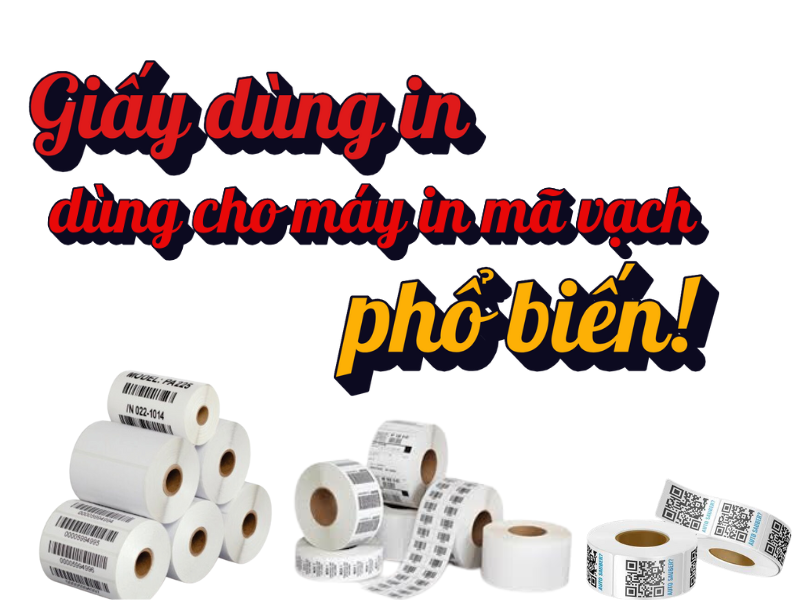Giấy dung in tem mã vạch phổ biến Giấy dung in tem mã vạch phổ biến