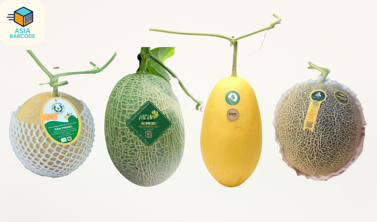 Các loại tem dưa lưới Các loại tem dưa lưới