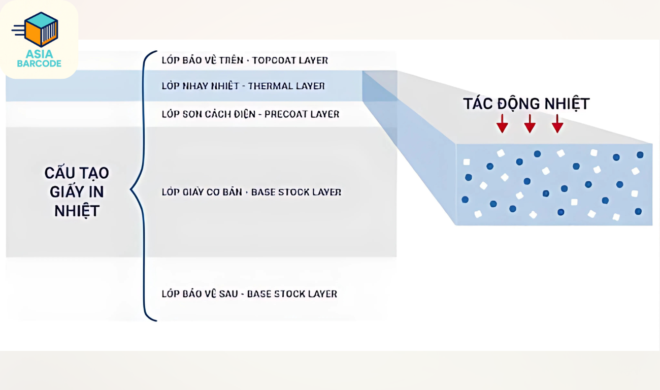 Cấu tạo của giấy in cảm nhiệt Cấu tạo của giấy in cảm nhiệt
