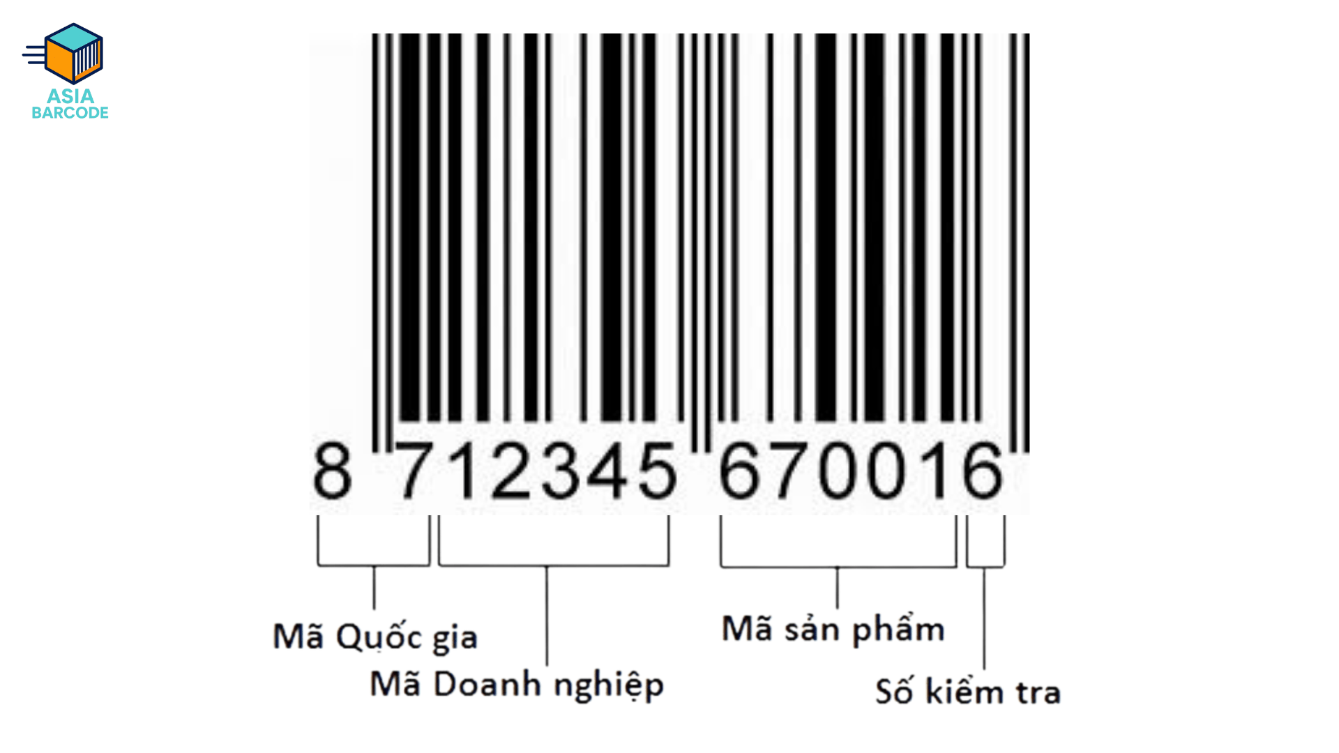 Thành phần tạo thành mã vạch Barcode Thành phần tạo thành mã vạch Barcode