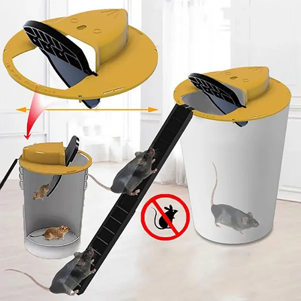 Bẫy chuột bệp bênh thông minh