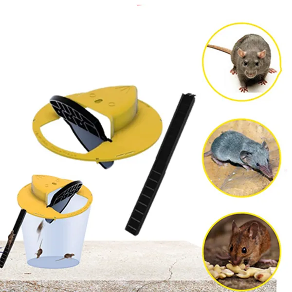 Bẫy chuột bệp bênh thông minh