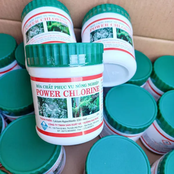 Bột tẩy rong rêu