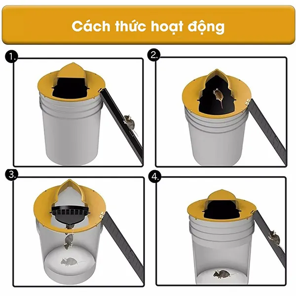 Bẫy chuột bệp bênh thông minh
