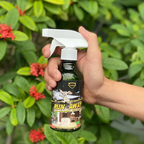 Bình xịt đuổi chuột Run Away