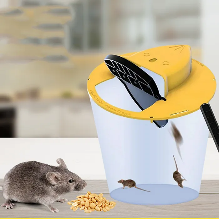 Bẫy chuột bệp bênh thông minh