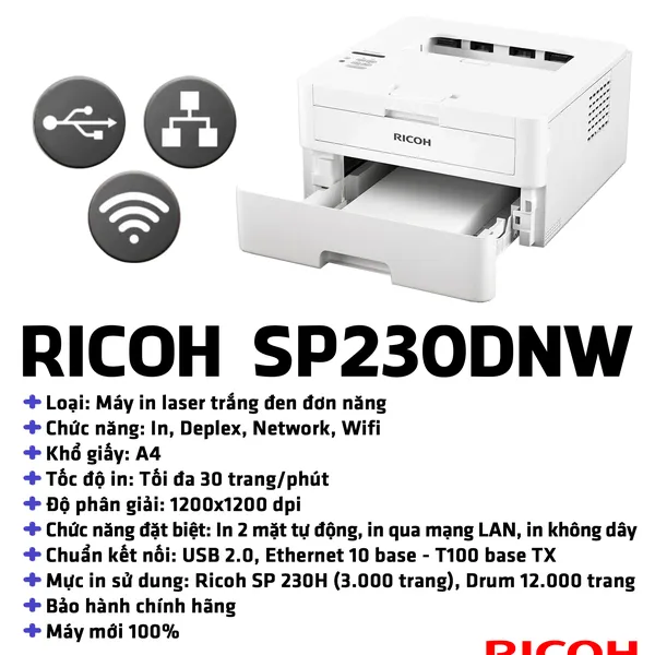 Máy in Ricoh SP230DNW
