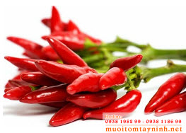 Ớt làm muối cần có chất lượng, đảm bảo tươi ngon Ớt làm muối cần có chất lượng, đảm bảo tươi ngon