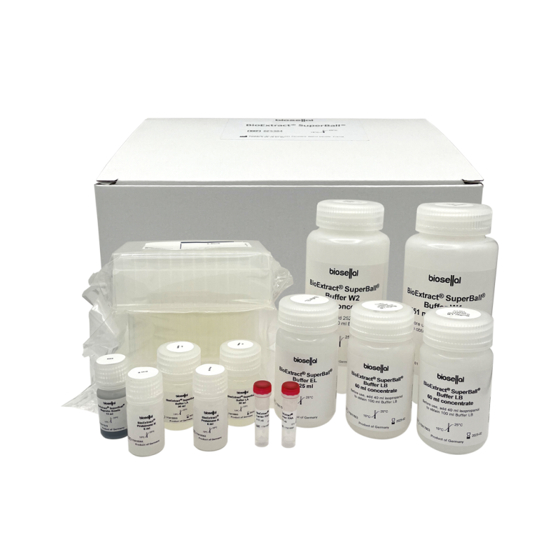 Magnetic Bead Extraction Kit