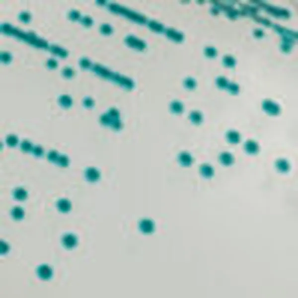 CHROMagar™ Serratia