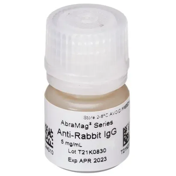 AbraMag® anti-Rabbit Magnetic Beads, 1 mL sample size, 5 mg/mL