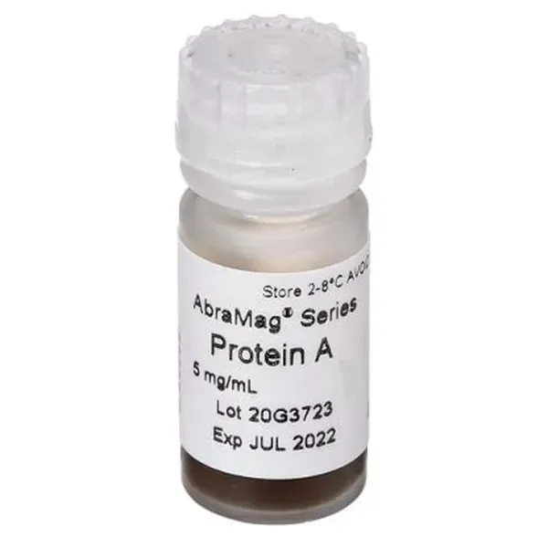 AbraMag® Protein A Magnetic Beads 2 mL, 5 mg/mL