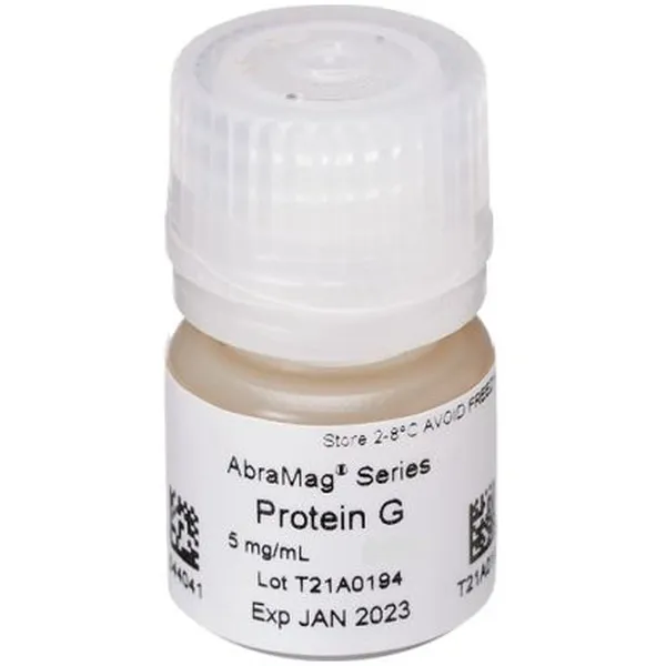 AbraMag® Protein G Magnetic Beads, 1 mL sample size, 5 mg/mL