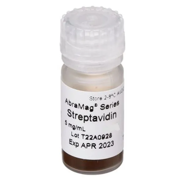 AbraMag® Streptavidin Magnetic Beads, 1 mL sample size, 5 mg/mL