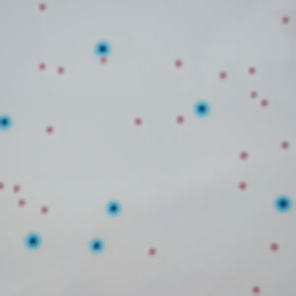 CHROMagar™ Enterobacteria