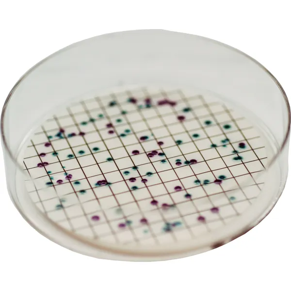 CHROMagar™ Liquid ECC