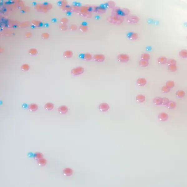 CHROMagar™ Staph aureus