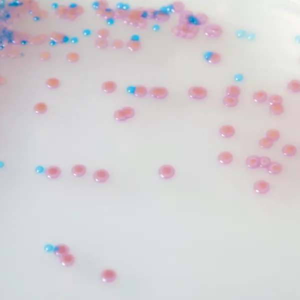 CHROMagar™ Staph aureus