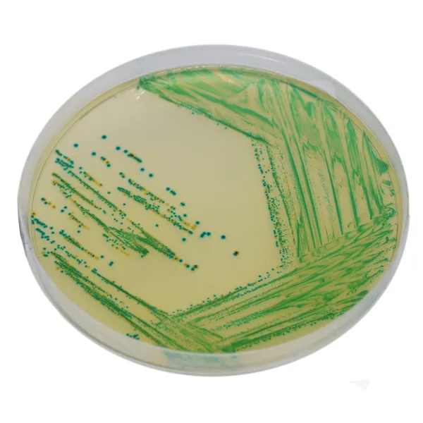 CHROMagar™ Cronobacter