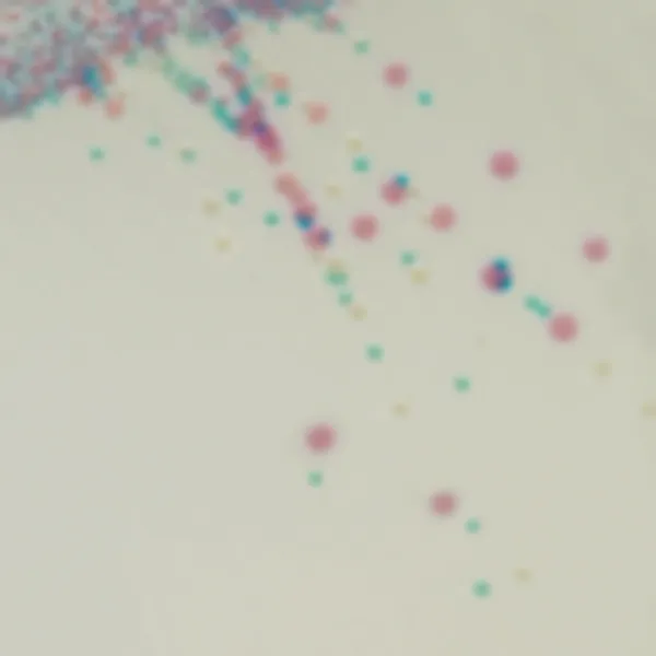 CHROMagar™ Staphylococcus