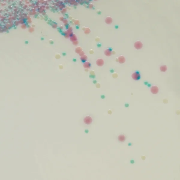 CHROMagar™ Staphylococcus