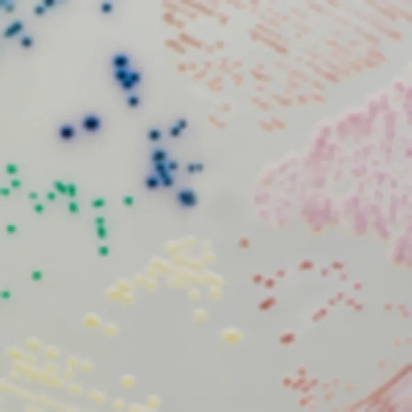 CHROMagar™ Candida