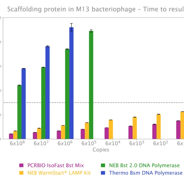 IsoFast® Bst Polymerase
