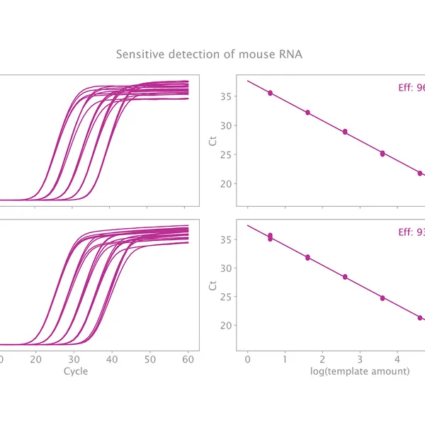 Clara® Probe 1-Step Mix
