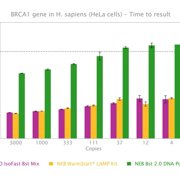 IsoFast® Bst Polymerase