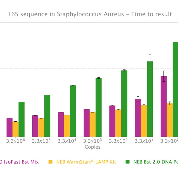 IsoFast® Bst Polymerase